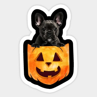 Black French Bulldog Dog In Pumpkin Pocket Halloween Sticker